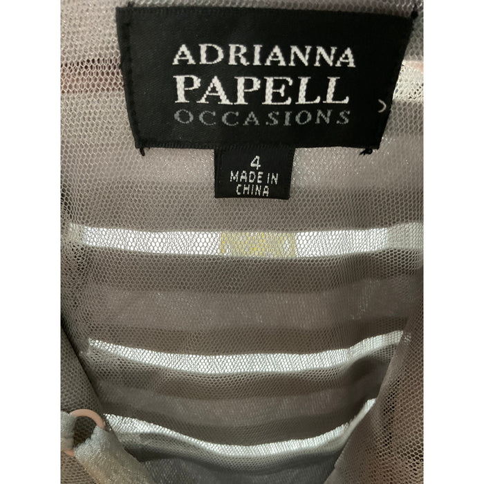 Adrianna Papell Maxi Dress in Silver (Size 4)