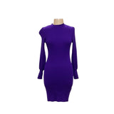 BNWT Banana Republic Purple Bodycon Dress XS