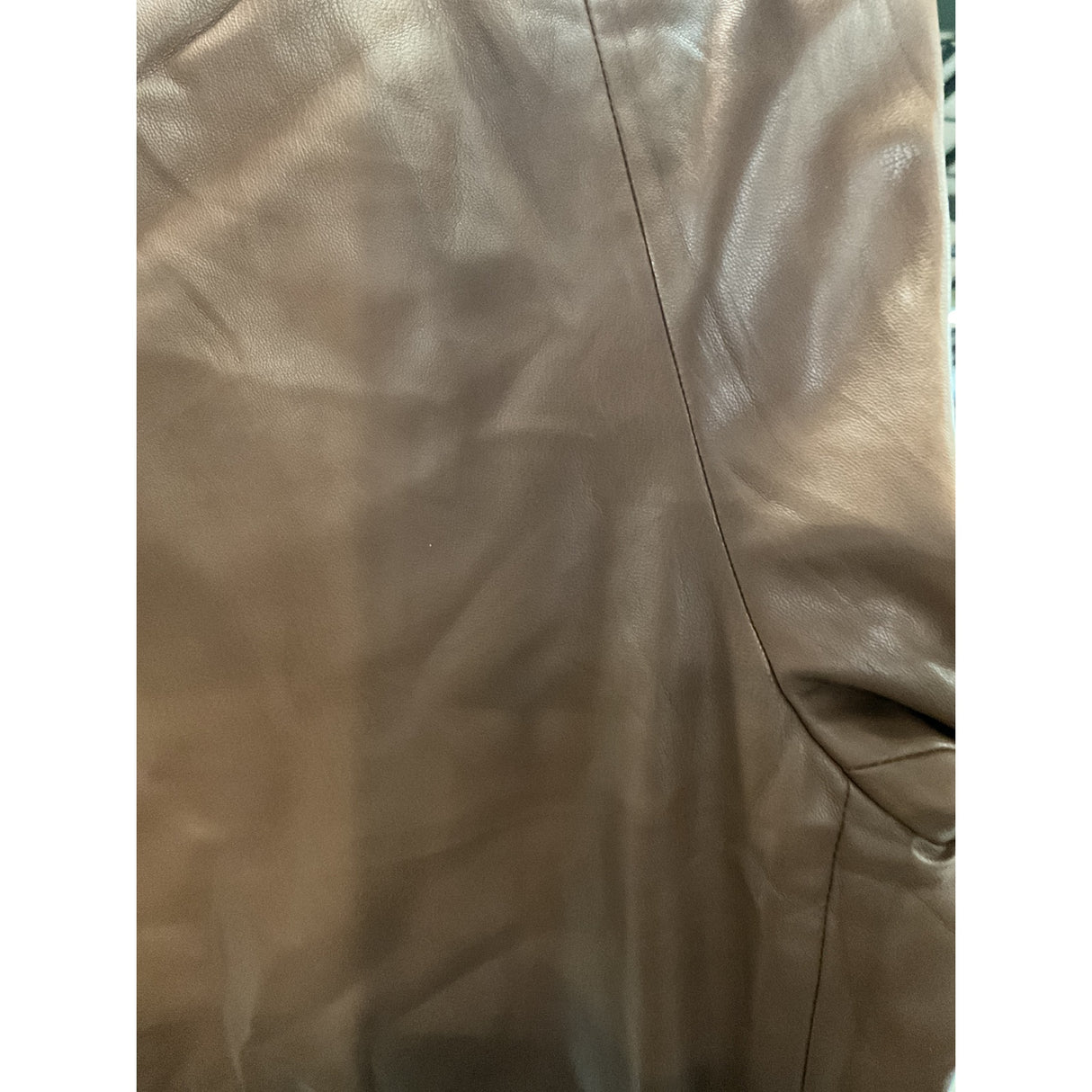 ZARA Brown Ankle Pants - Women's M