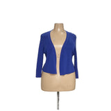 Talbots Blue Cardigan (1X)