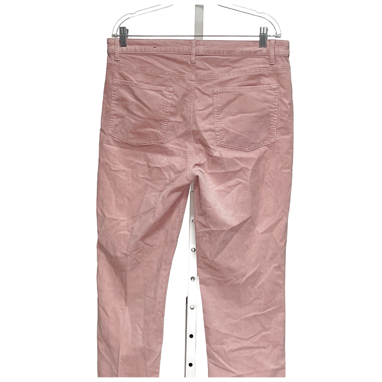 Talbots Pink Ankle Pants - Size 12