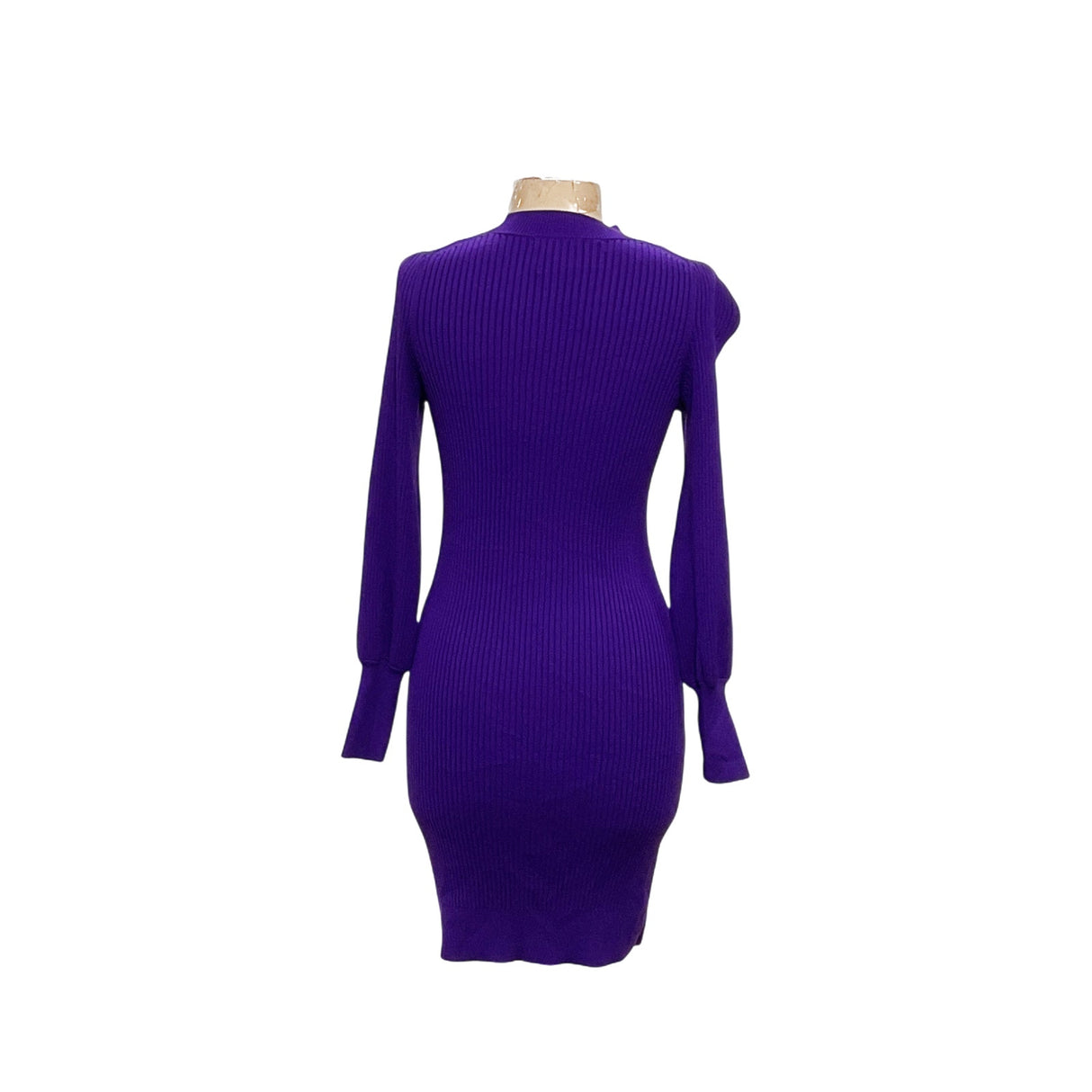 BNWT Banana Republic Purple Bodycon Dress XS