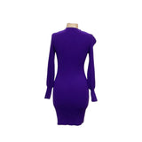 BNWT Banana Republic Purple Bodycon Dress XS