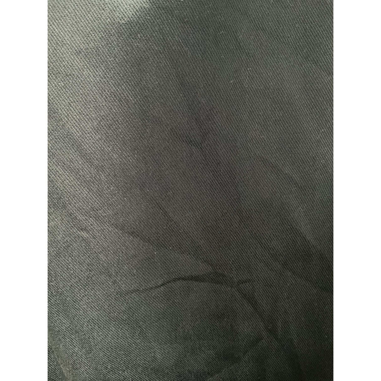 Dickies Blue Straight Plus Pants size 22
