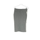 Puma Gray A-Line Skirt, LG