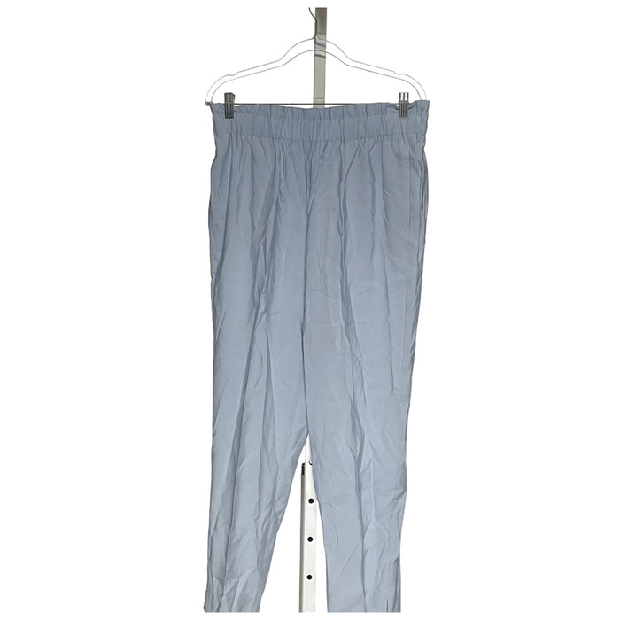 Ann Taylor Blue Ankle Pants M