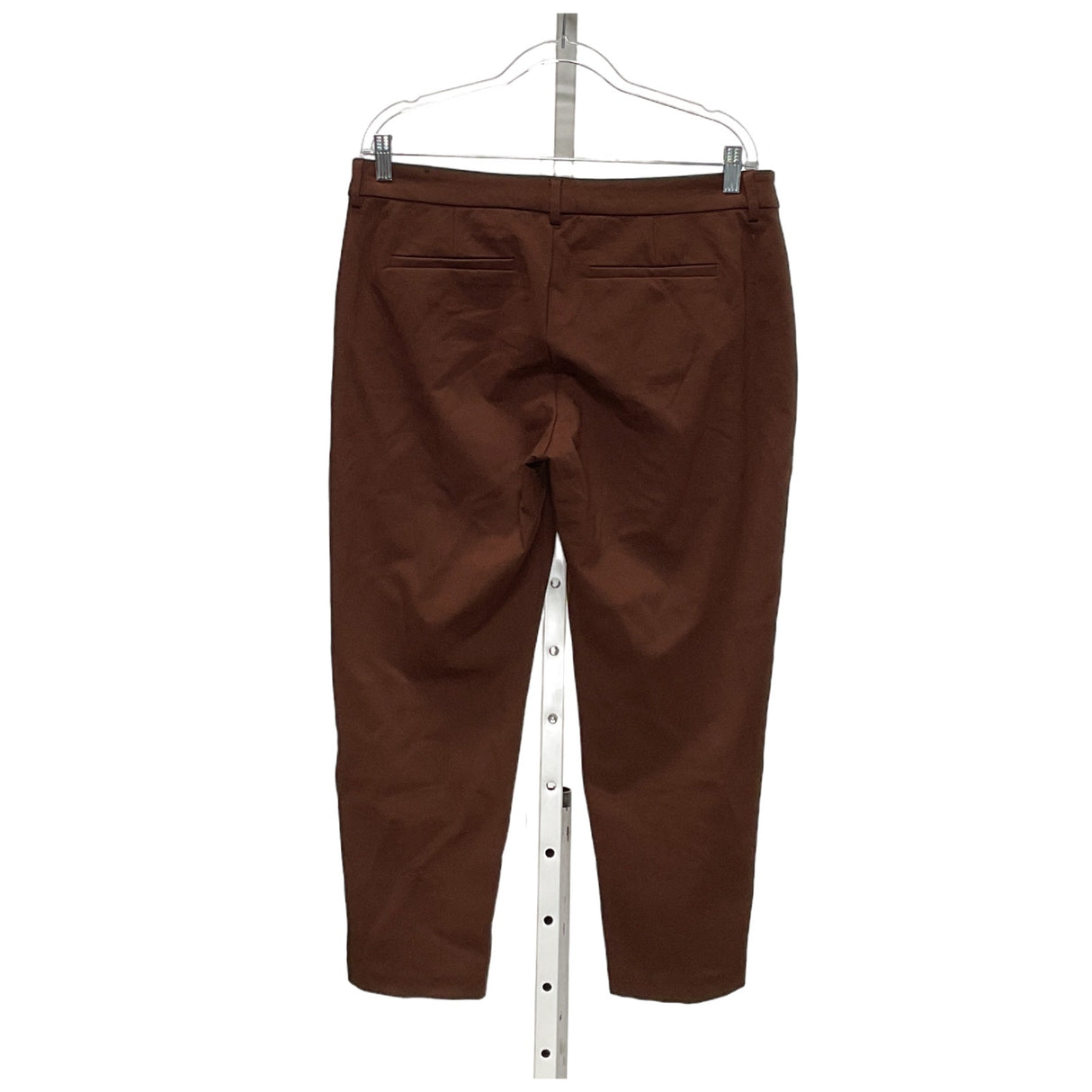 LIVERPOOL Brown Ankle Pants - Size 12