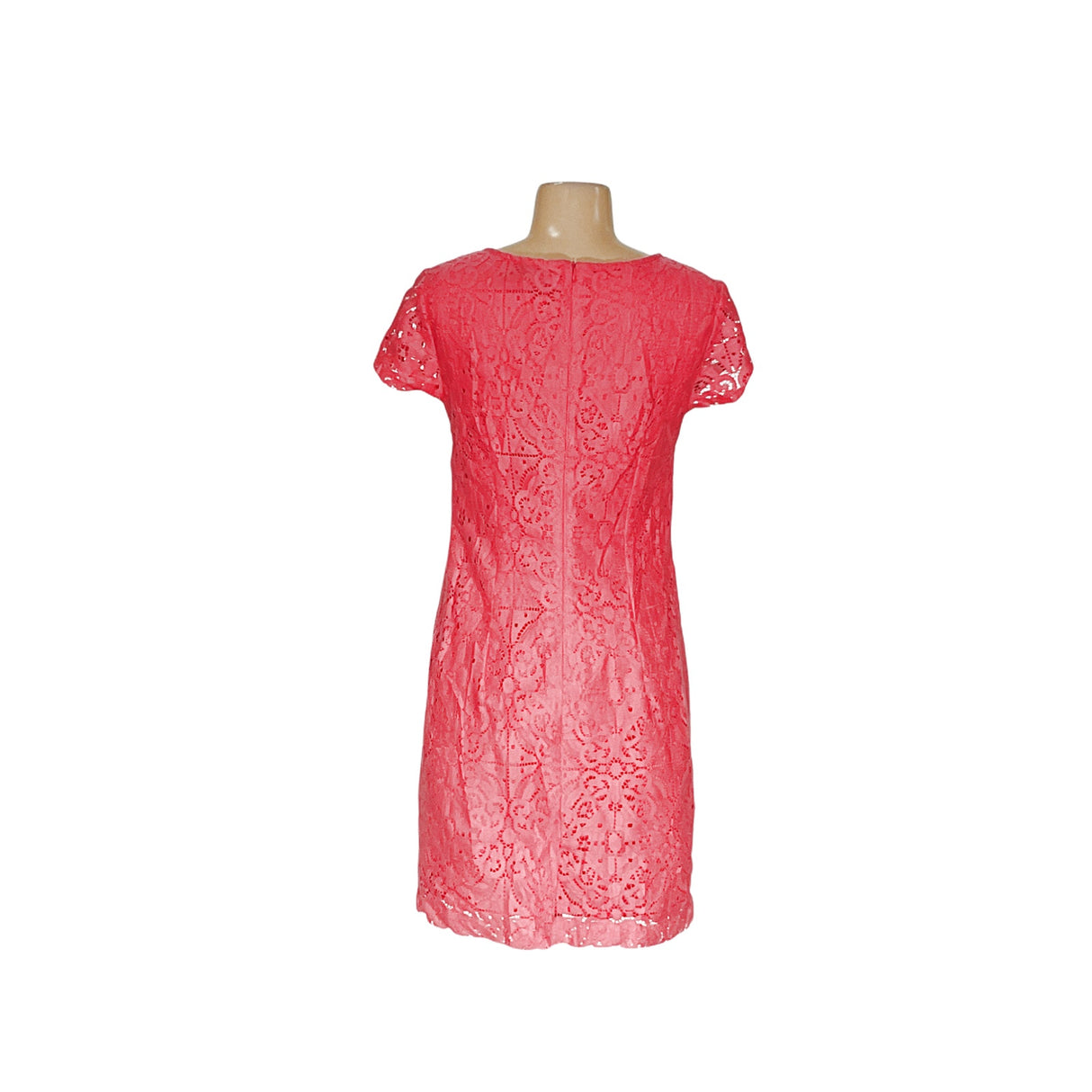 BR Pink Lace Sheath Dress