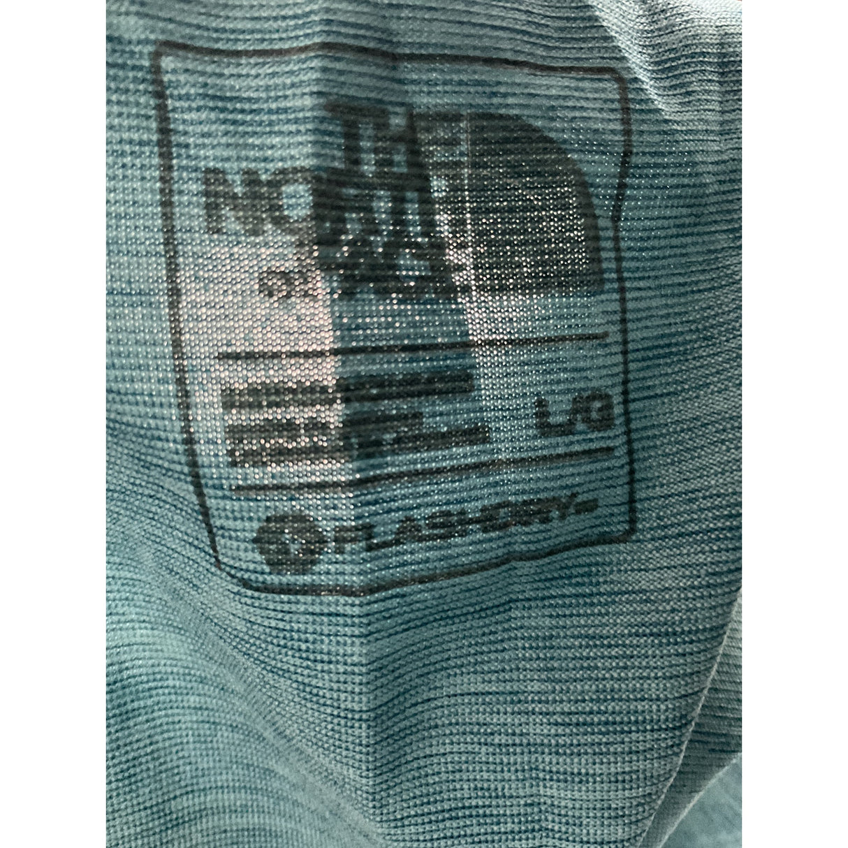 The North Face Men's Blue Activewear Top