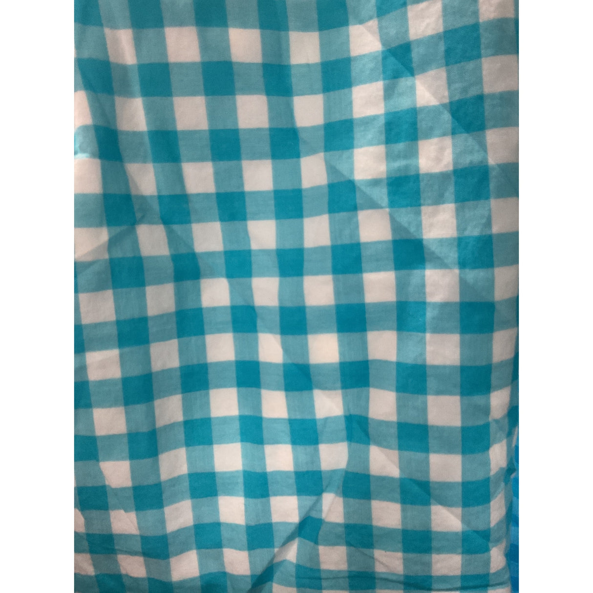 J. Crew Blue Gingham Blouse