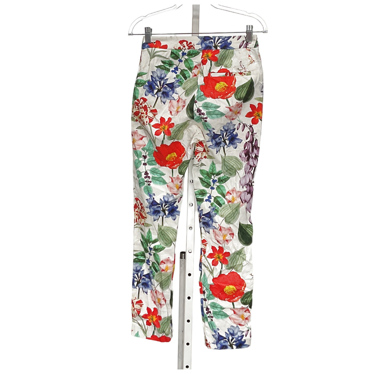 ZARA Multicolor Ankle Pants - Size 2