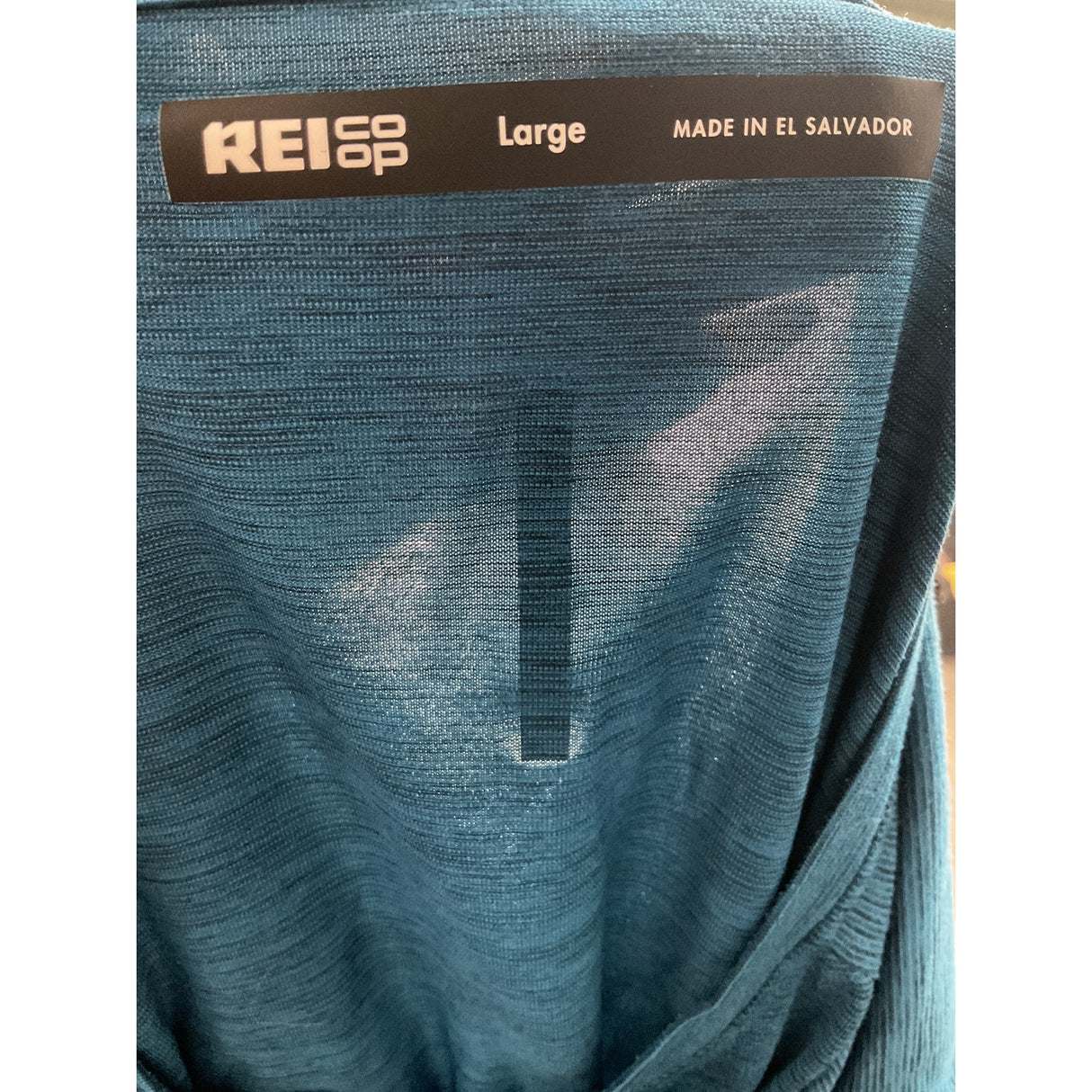 REI Men's Blue Polyester Activewear T-Shirt