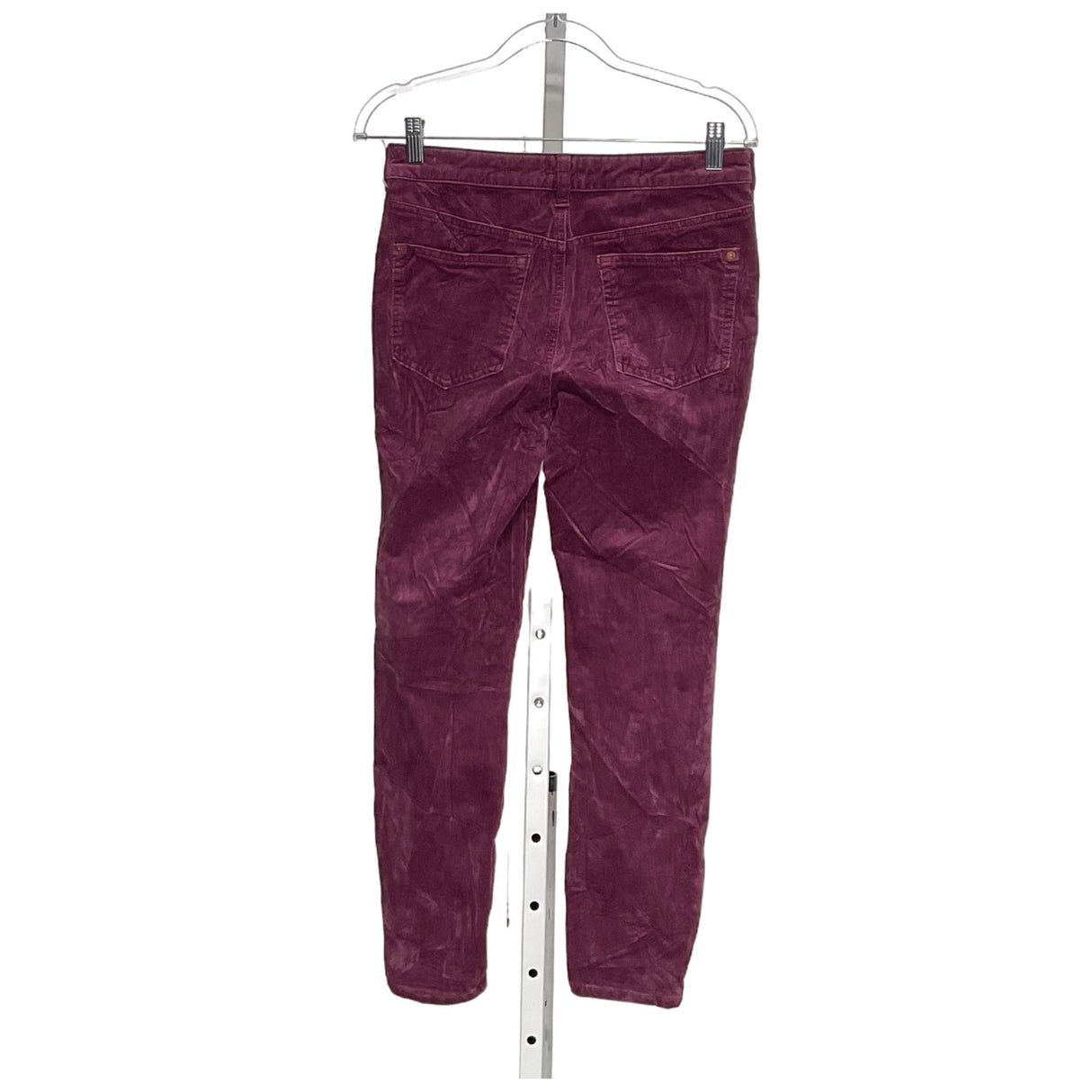 Pilcro Purple Ankle Pants - Size 28