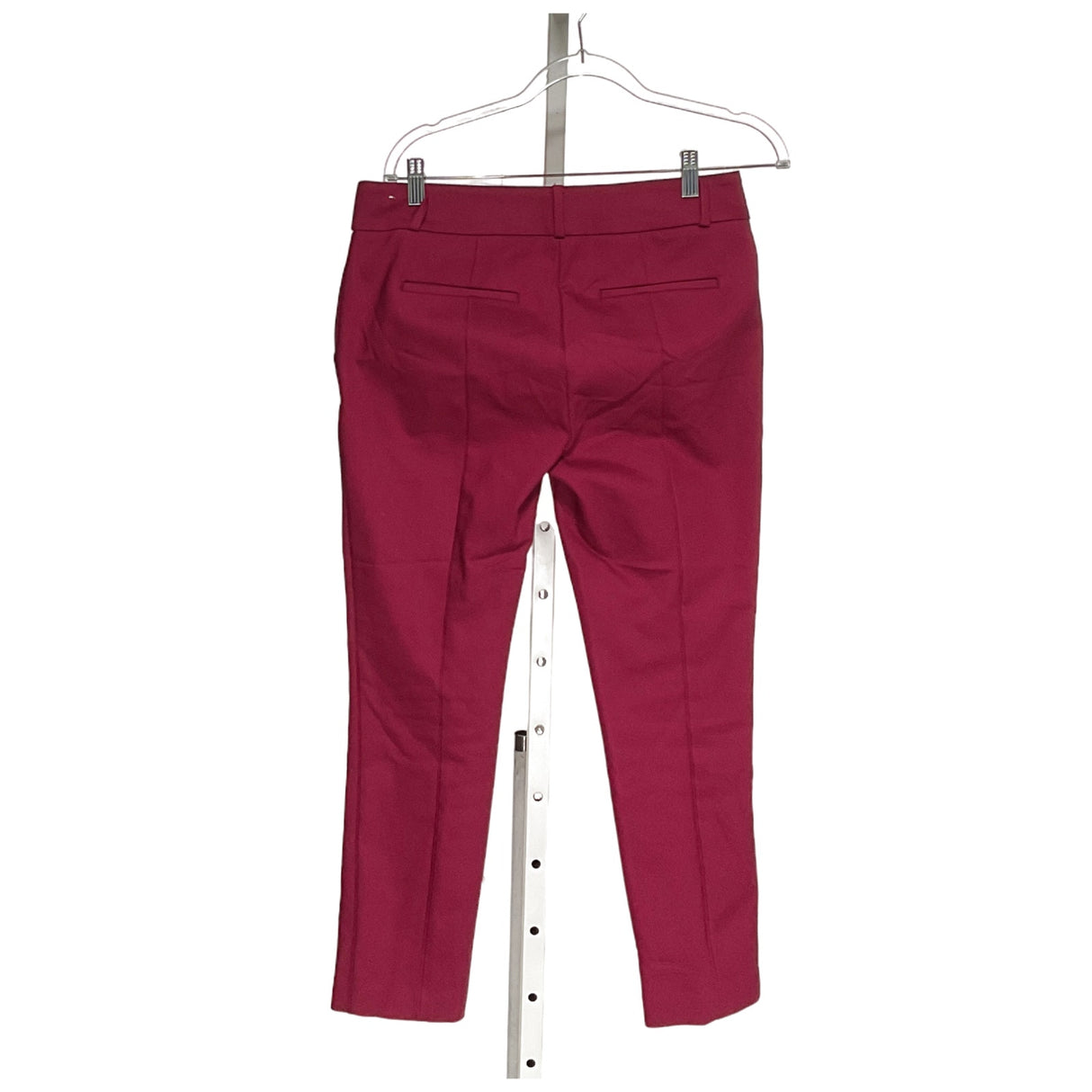 LOFT Purple Petite Ankle Pants - Women's Size 6P