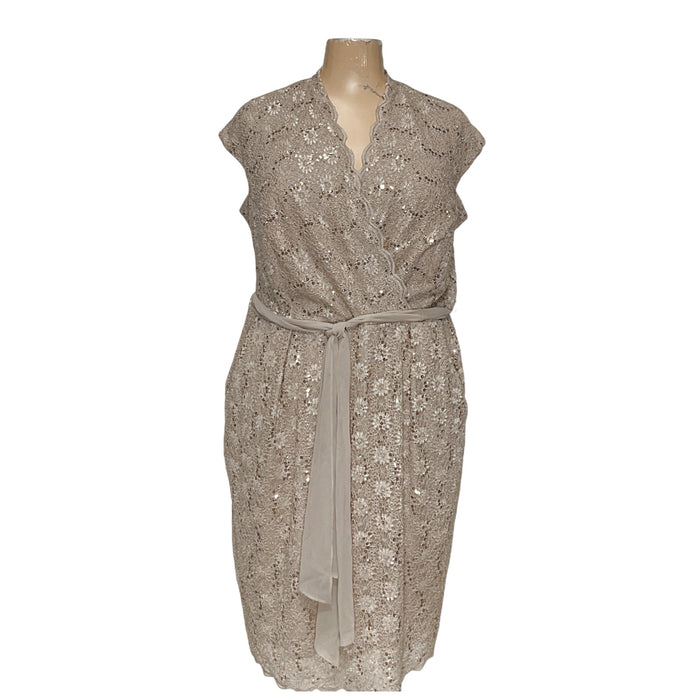 Alex Evenings Plus Size Beige A-Line Dress