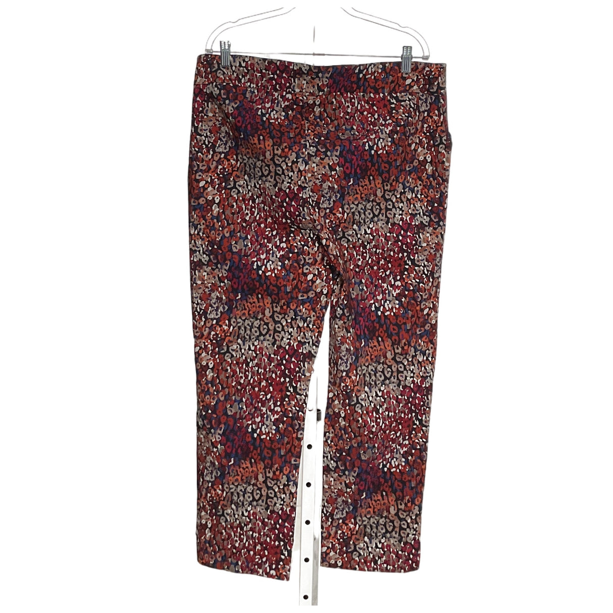 Chico's Multicolor Plus Size Ankle Pants