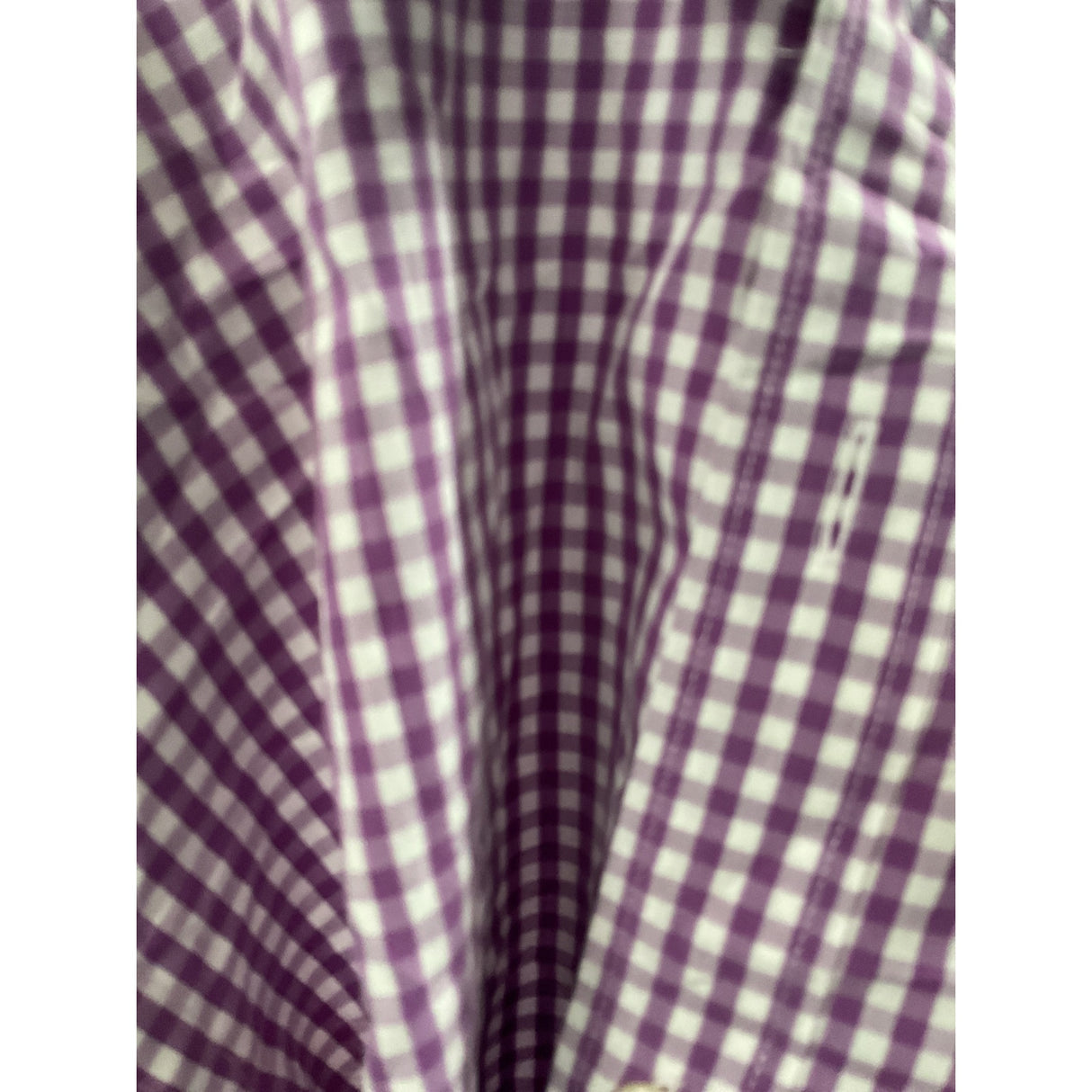 J. Crew Gingham Dress Shirt