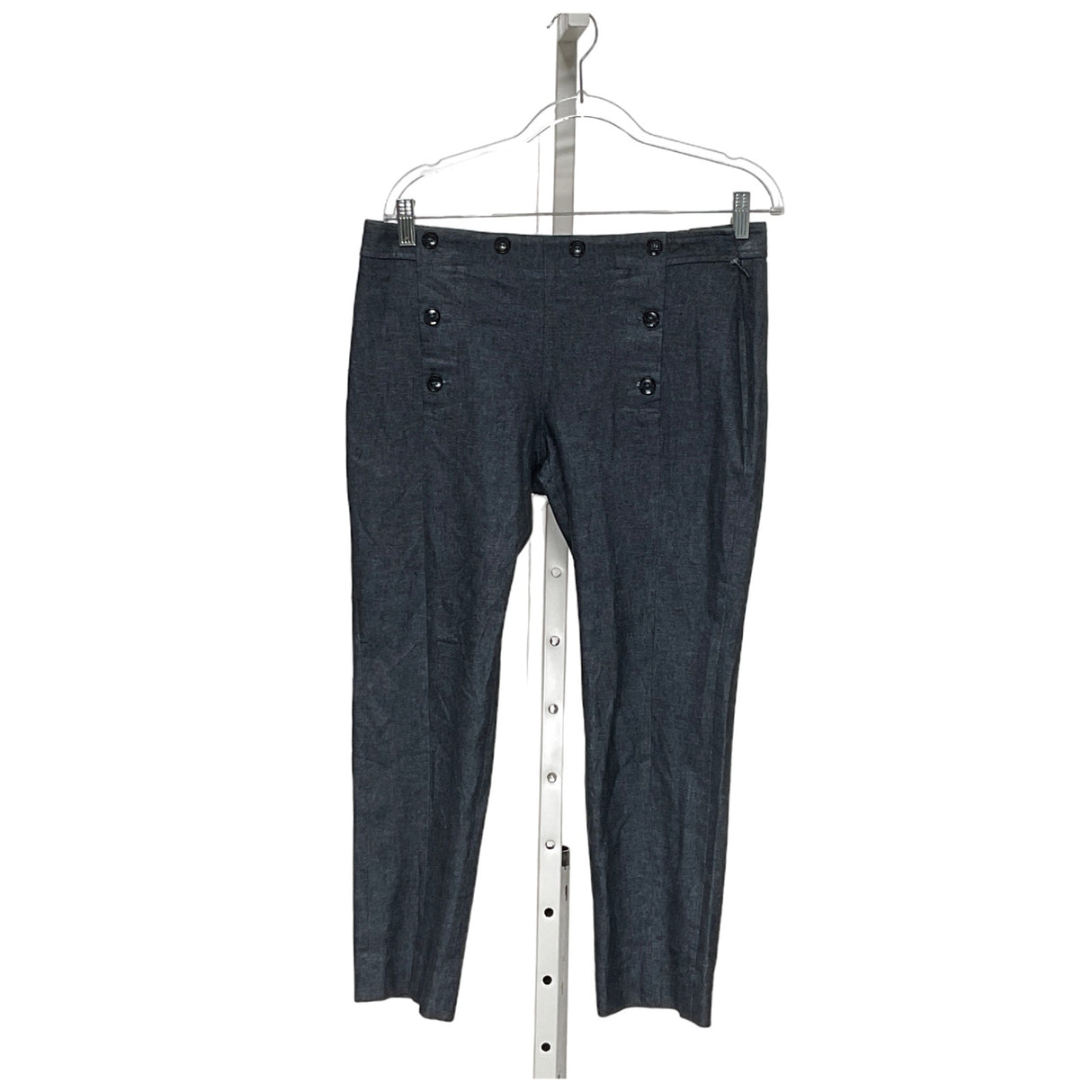 Banana Republic Blue Capri Pants