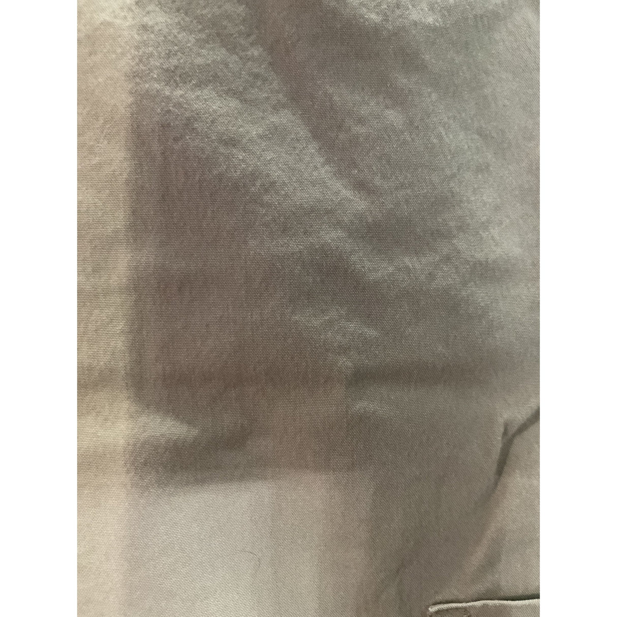 Dickies Beige Bermuda Shorts