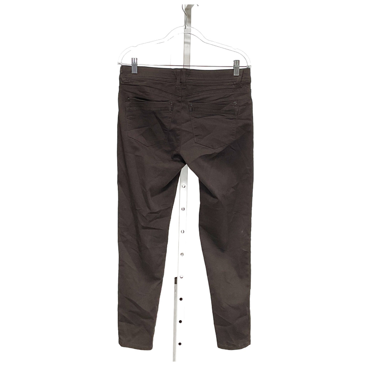 Democracy Brown Straight Pants 8