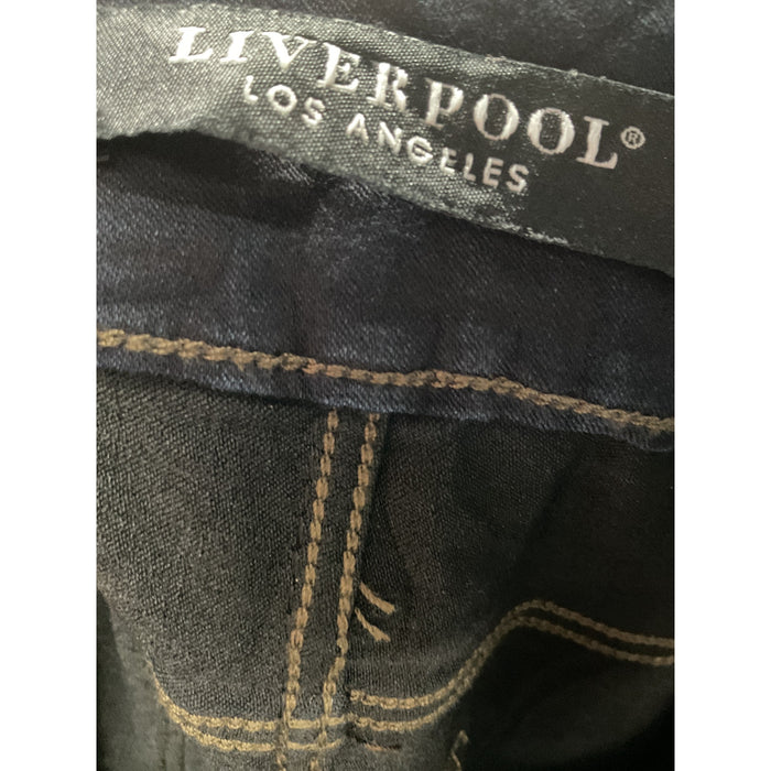 Liverpool Los Angeles Blue Jeggings - Size 4