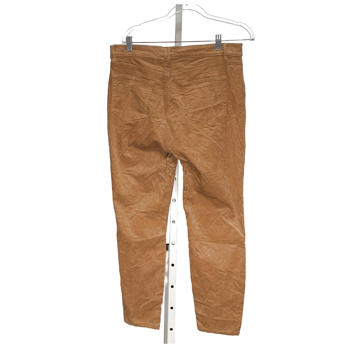 LOFT Beige Ankle Pants Sz 12