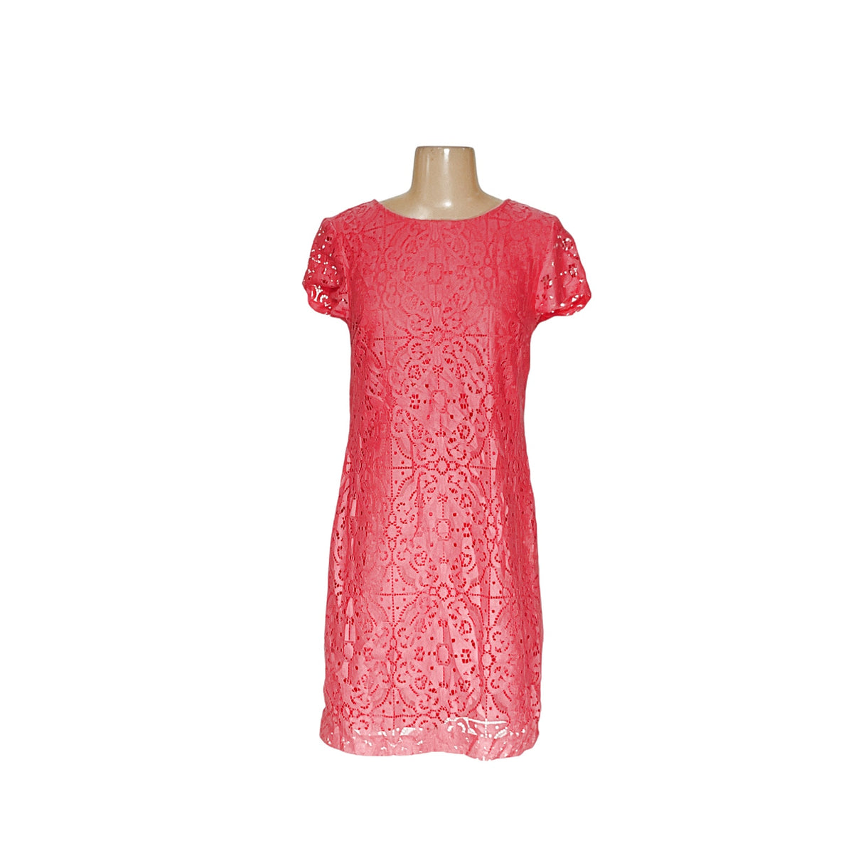 BR Pink Lace Sheath Dress