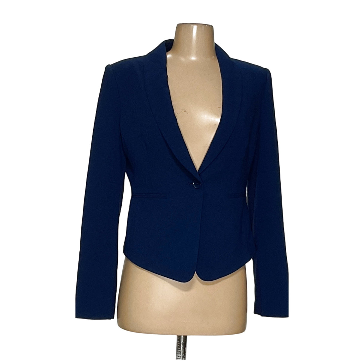 BCBGMAXAZRIA Blue Blazer