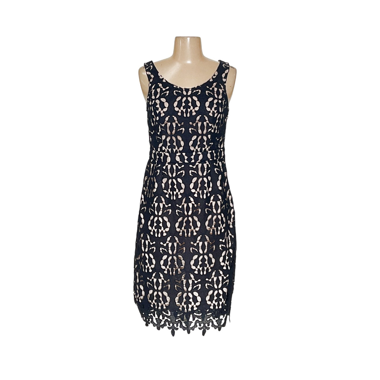 BR Blue Lace Sheath Dress