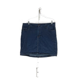 Lee Blue A-Line Skirt